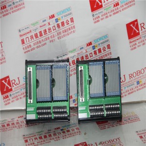 New AUTOMATION Controller MODULE DCS FOXBORO FBM217 PLC Module