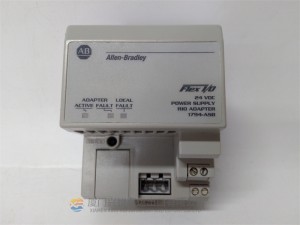 AB  1794-ASB New AUTOMATION Controller MODULE DCS PLC Module