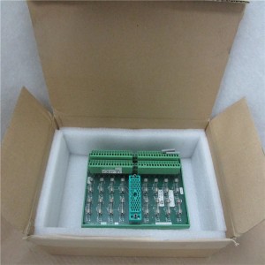 In Stock TRICONEX 9668-110 PLC DCS Module