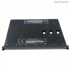 TRICONEX 3604E Digital Output Module delivery time