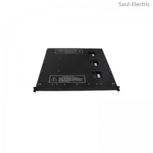 TRICONEX TRICON 3611E Digital Output Module delivery time