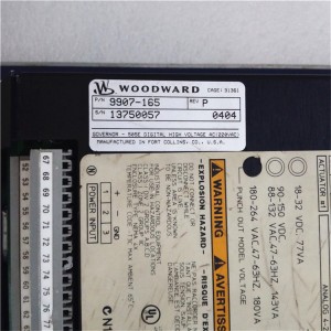 In Stock Woodward 9907-165 PLC DCS Module