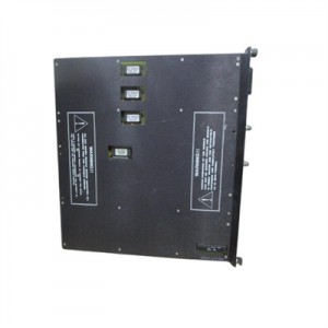 TRICONEX TRICON 8302A Power Supply Module