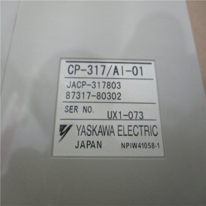 In Stock YASKAWA JACP-317803 PLC DCS P0904FH