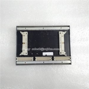 Bachmann B1046700 BS203 New AUTOMATION Controller MODULE DCS PLC Module