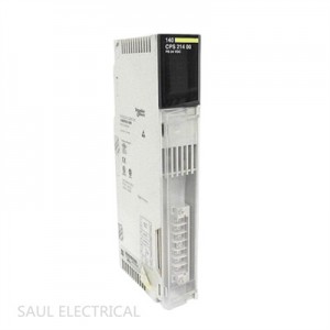 Schneider 140CPS21400 Power supply module Fast worldwide delivery