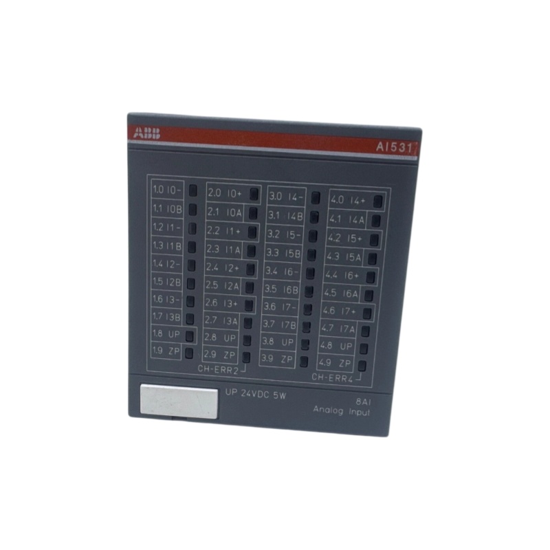 ABB 1SAP250600B0001 AI531 (1)