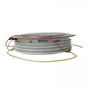 ABB KP2500 Power Electronic Devices