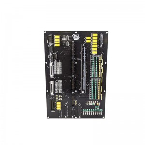 AEG CGP31-R Signal Conditioning Module