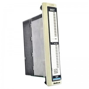 Schneider AEG ASB984100 Discrete Module