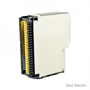 Schneider AS-BDEP-218 Input Module Fast worldwide delivery