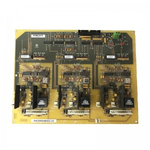 GE DS200IIBDG1A Industrial Control Module