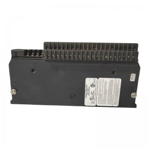 GE IC660TBD024 Digital Input Module