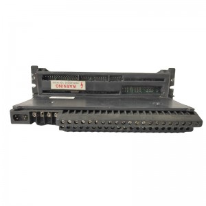 GE IC660TBD025 Input/Output Module