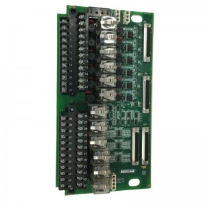 GE IS200TRLYH1BHH Expansion Interface Module