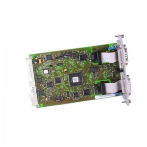 AEG S31N-R00-F010 Power Module
