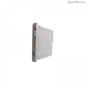 ICS TRIPLEX T8805 Digital Input Module