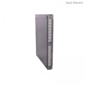 ICS TRIPLEX T8310 Controller Unit