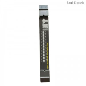 ICS TRIPLEX T8449 Control Module