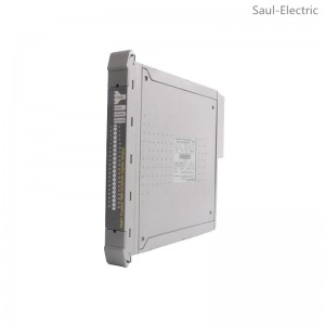 ICS TRIPLEX T8191 Control Module