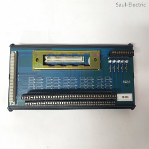 ICS TRIPLEX T8243 Industrial Components