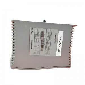 ICS TRIPLEX T9110 Control Module