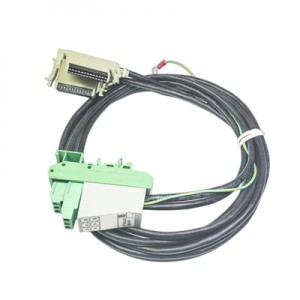 Foxboro P0800DA Cable with Terminal