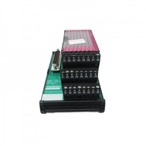 Foxboro P0916AE Fbm203 Assembly 8 Input Terminal-Guaranteed Quality