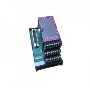 Foxboro P0916AG FBM204 Field Terminal Assembly-Guaranteed Quality