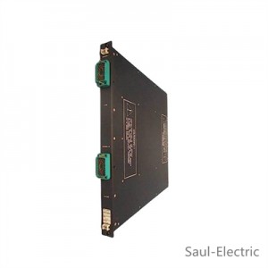 TRICONEX 3000109-200 2552 PLC Digital Input External Terminator Fast delivery time