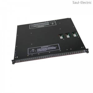 TRICONEX TRICON 3613E Digital Output Module delivery time