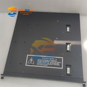 The modules of the safety control system of TRICONEX 3703E