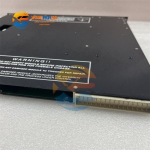 The modules of the safety control system of TRICONEX 3703E