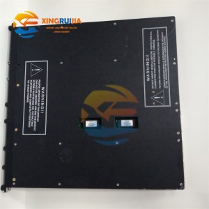 TRICONEX 4210 Remote Expansion Module