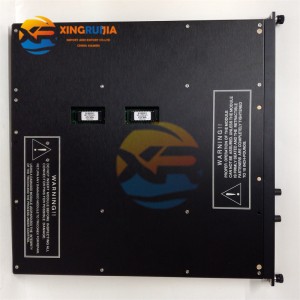TRICONEX 4211 Redundant Design Module