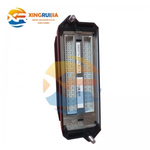 TRICONEX PLM 3900N Safety Redundant I/O Module