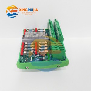 TRICONEX 9563-810 Digital Input Module