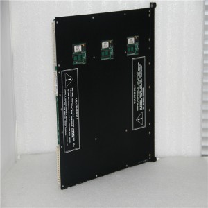 TRICONEX AI6700 New AUTOMATION Controller MODULE DCS PLC Module