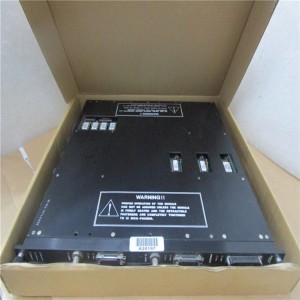 In Stock TRICONEX 9651-110 PLC DCS Module