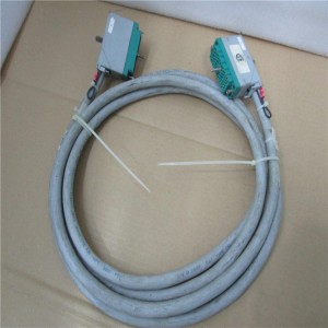 In Stock TRICON-4000094-110 PLC DCS MODULE