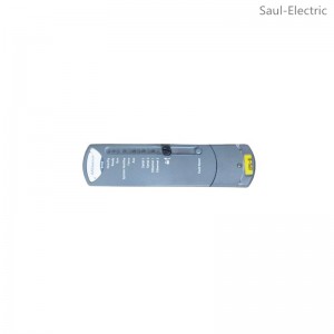 ICS TRIPLEX T8231 system module