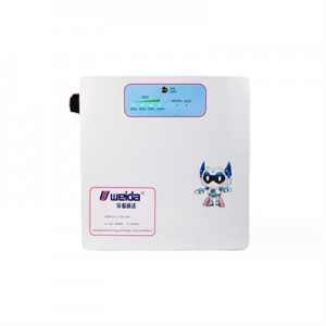 WEIDA 51.2V100Ah wall mounted energy storage cabinet