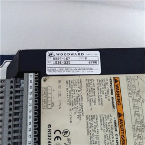 In Stock Woodward 9907-167 PLC DCS Module
