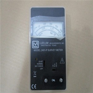 Original New AUTOMATION MODULE PLC DCS LUDLUM-2401-P PLC Module